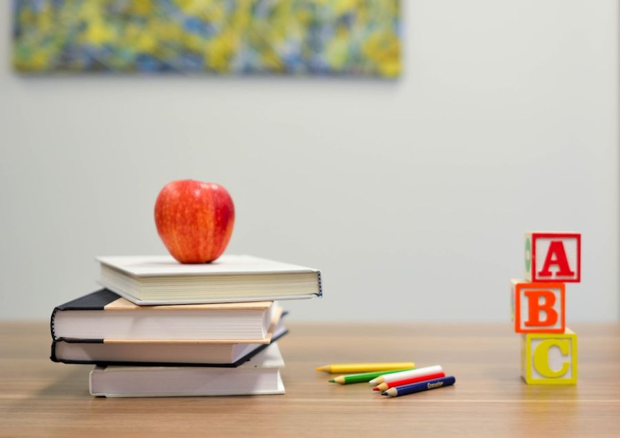 education career choices