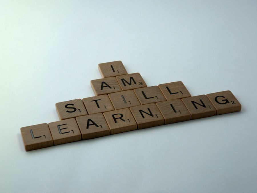 reinforcement learning model