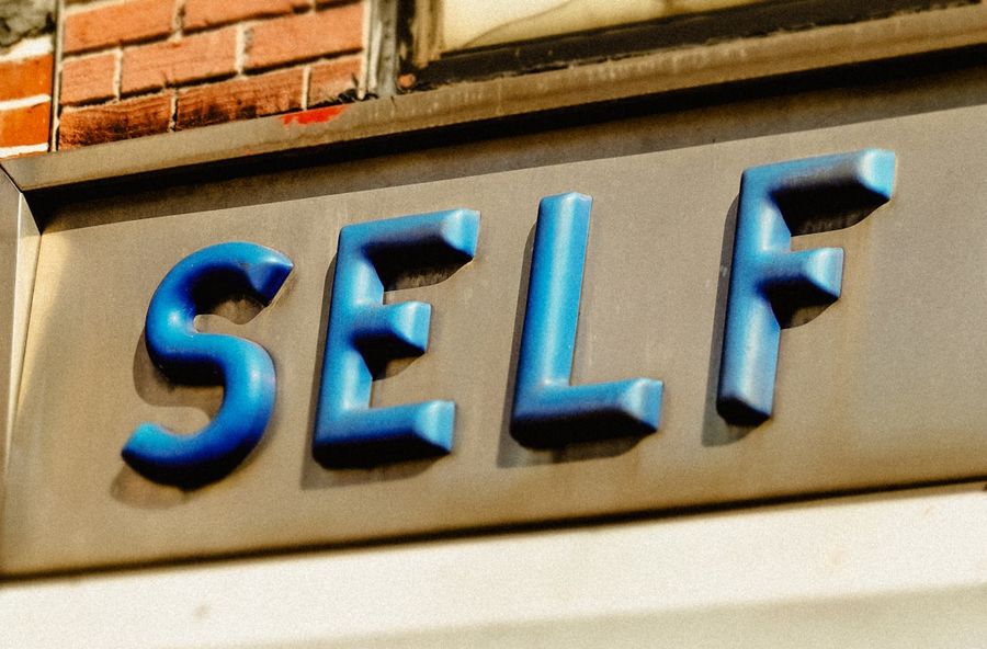 self hosting